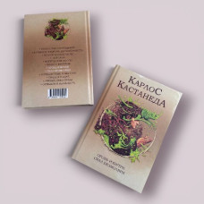 Вогонь зсередини. Сила безмовності Карлос Кастанеда